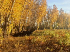 Молодой водитель слетел с сельской дороги, перевернул машину и скончался от удара