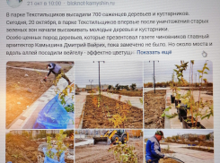 Ворованный контент: российский юрист по интеллектуальной собственности дал комментарий к ситуации, характерной для Камышина