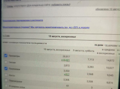 Как похожим на боты «читателям» камышинского сайта «Инфокам» пытаются «впрыснуть» ума ради спектакля с рейтингом СМИ