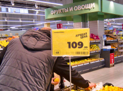 Камышин завалили мандаринами задолго до Нового года