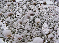 Камышин окажется во власти метели 28 декабря