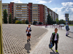 Родители школьников из Камышина интересуются на «прямой линии» президента, почему их и детей загоняют «рабами в чаты»