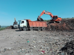 В Камышине на месте застарелой свалки посадят кустарники и засеют газон