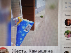 В Камышине шоумены из соцсетей решили блеснуть патриотизмом и опросить камышан, «застревает» ли мороженое «Хохол» у покупателей в горле (ВИДЕО)