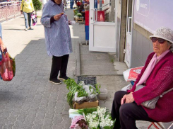 Прелестные ландыши из Красной книги продают на центральных улицах Камышина