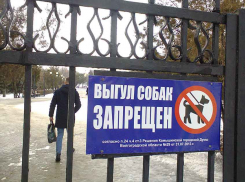 В парках Камышина запрещают выгул собак, еще бы запретить «выгул» алкашей! - пенсионерка