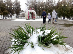 Администрация Камышина решила попробовать получить грант на реконструкцию парка Комсомольцев-добровольцев со второй попытки