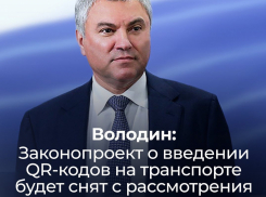 Лучшим подарком на День Конституции назвали жители Волгоградской области  отмену законопроекта о QR-кодах на транспорте