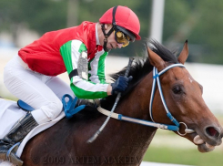 В Камышине предпринимательница покупала костюмы, чтобы скакать на лошадях, но в итоге от нее «ускакали» больше 20 тысяч рублей 
