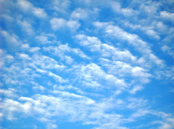 В минувшие выходные в Камышине принял решение уйти из жизни пожилой мужчина