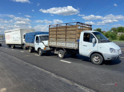 На московской трассе чудом выжил пострадавший, зажатый между грузовиками