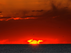 Следователи Камышина пытаются идентифицировать труп-мумию по татуировке и коронке