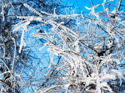 Муниципалитеты по соседству с Камышином и Камышинским районом уже приняли решения об отмене занятий в школах из-за сильных морозов, в Камышине все учатся