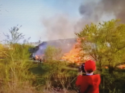 В Камышине у трассы полыхает в полнеба камыш (ВИДЕО)