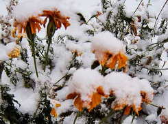Волгоградская область готовится к снегу с дождем под натиском атлантического циклона