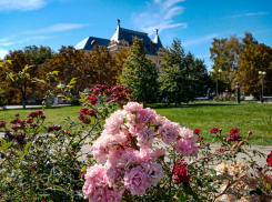 Тепло и солнечно: райские дни дарит природа камышанам в начале октября