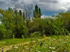 Небо в тучах и дождь: «осенняя» погода ждет камышан 20 мая