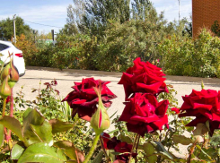 Небольшой теплый дождь предсказали синоптики камышанам на сегодня, 5 октября