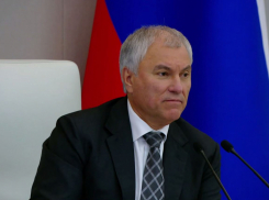 «Отрывается напоследок»: Володину спрогнозировали уход из Госдумы, - «Блокнот Волгограда»