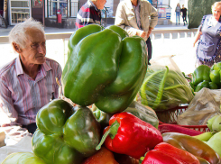 Пресс-служба губернатора сообщает, что Волгоградская область вырастила рекордный урожай овощей, подешевеют ли они осенью - неизвестно