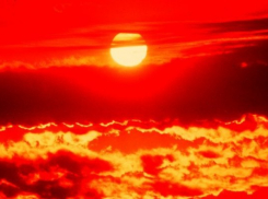 В Камышине в одном из сел Камышинского района в вагончике найден окровавленный труп рабочего-нелегала