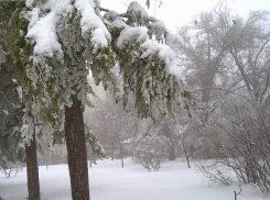 После «нуля» и мокрого снега Камышин проморозит до -11-ти: погода на выходные