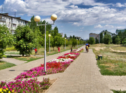 Как найти работу в Камышине