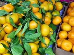 В Камышине начали продавать мандарины