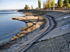 Вдоль Камышинки из-за маловодья расширяются «плесы», и все больше становится  островок в устье