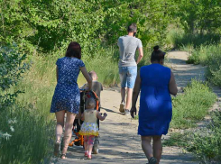 В Камышине с дежурными группами в детсадах пока «темный лес»