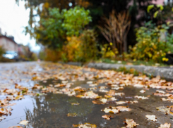 Стало известно, кому в Камышине придется сидеть без света в первый день ноября