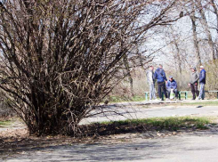 Кто из камышинских безработных может рассчитывать на максимальное пособие в «эпоху коронавируса»