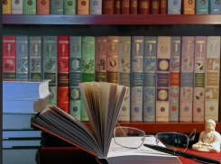 Библиотеки, театр и музей Камышина закрылись для читателей, зрителей и экскурсантов