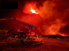 Новости СВО на утро 21 августа: удар по нефтебазе в Измаиле, F-16 атаковали Курскую область, - «Блокнот - Россия»