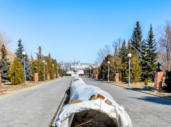 В Камышине начали проветривать зимние укрытия для розариев в парке Победы