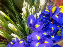 Цветочные магазины Камышина начали предпраздничный торговый марафон