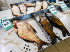 В стоящем на Волге Камышине на прилавках со свежей рыбой по демократичной цене продается только лещ и карась