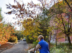 Камышинским дворникам добавил забот ранний листопад