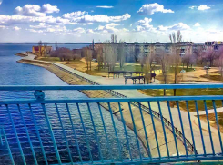 Главный архитектор Камышина Дмитрий Вайрих рассказал, как будут кормить отдыхающих в обновленном парке «Топольки»