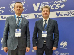 По какому случаю глава Камышина Станислав Зинченко отбыл в невскую столицу