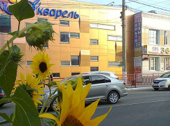 Райская погода: в Камышине будет тепло и солнечно