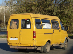 В Камышине «разыгрывается» сразу несколько маршрутов под перевозки пассажиров