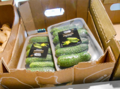 В Камышине огурцы в пупырышках догнали по цене виноград