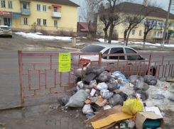 Камышан раздражают кучи мусора на центральной улице