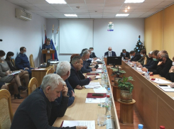 Депутаты Камышинской городской думы провели заседание у елки
