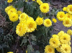 Посмертные диагнозы похожи, как близнецы, а люди - каждый человек, как мир - уходят...