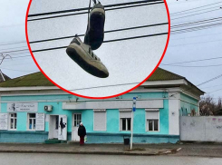 Что помечено на центральной улице Камышина кедами на проводах? - камышанка