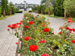 Погода в Камышине на 10 июня: прогноз «раскаленный»