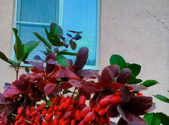  Либо подписывайте, либо заявки аннулируются: почему в Камышине «Водоканал» не «уступает» жителям права построить канализацию к  домам?