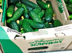 В Камышине накануне Международного женского дня подешевели огурцы, помидоры и мимоза